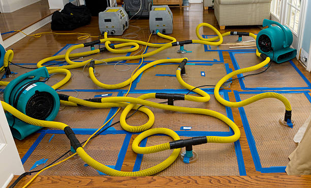 Professional Basement Flood Cleanup technician working in Lafayette, IN